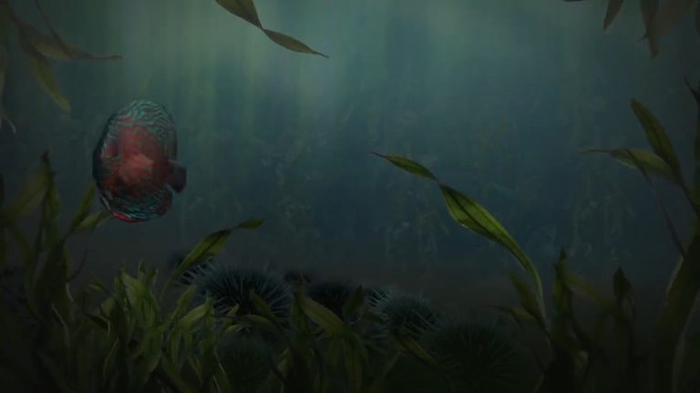 水下鱼群游动与摇曳水草场景视频封面